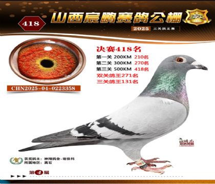 ɽ����i�Qِ418��