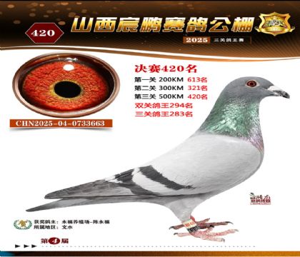 ɽ����i�Qِ420��