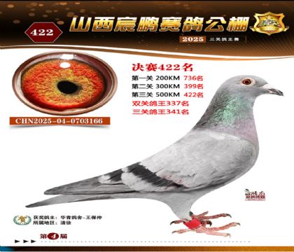 ɽ����i�Qِ422��