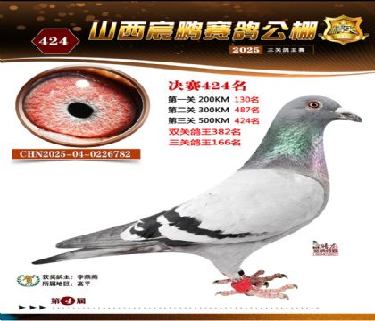 ɽ����i�Qِ424��