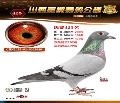 ɽ����i�Qِ425��