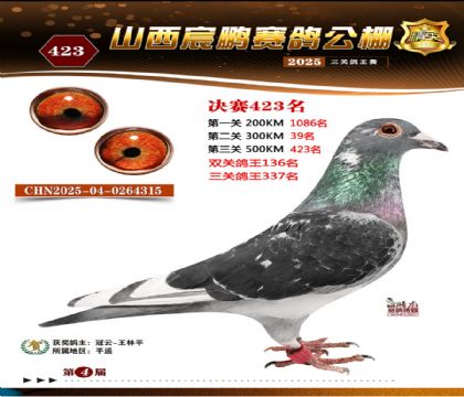 ɽ����i�Qِ423��