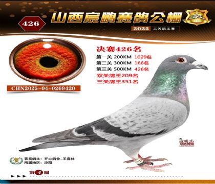 ɽ����i�Qِ426��