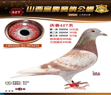 ɽ����i�Qِ427��