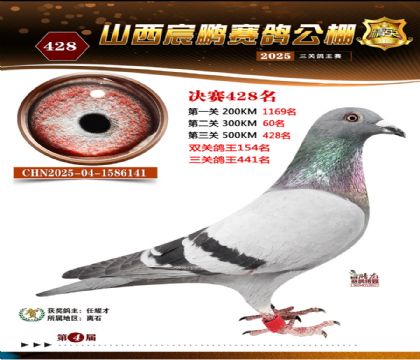 ɽ����i�Qِ428��