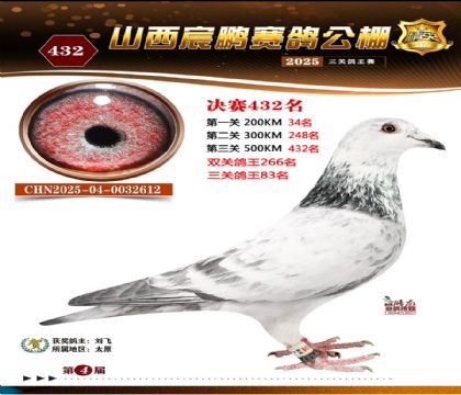 ɽ����i�Qِ432��