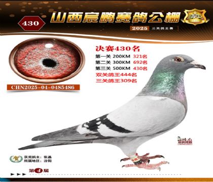 ɽ����i�Qِ430��