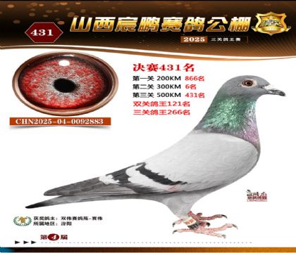 ɽ����i�Qِ431��