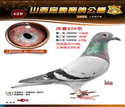 ɽ����i�Qِ429��