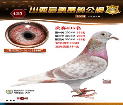 ɽ����i�Qِ435��