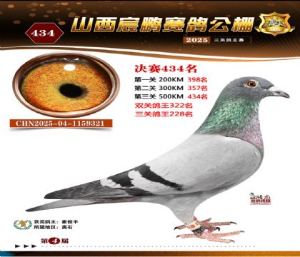 ɽ����i�Qِ434��