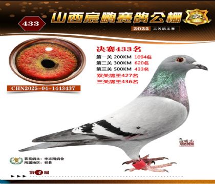 ɽ����i�Qِ433��