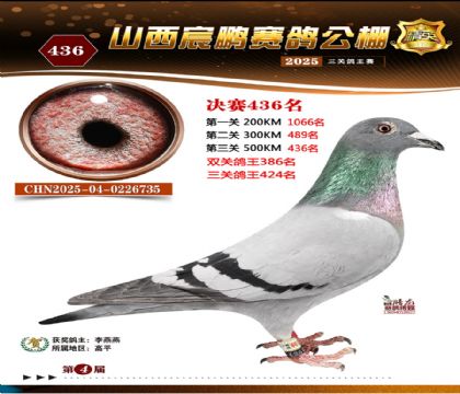 ɽ����i�Qِ436��