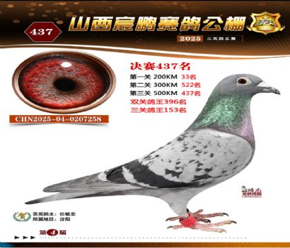 ɽ����i�Qِ437��