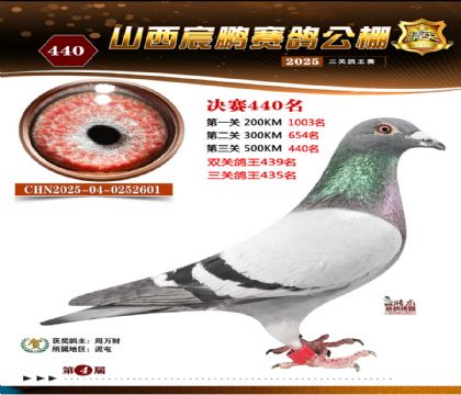 ɽ����i�Qِ440��