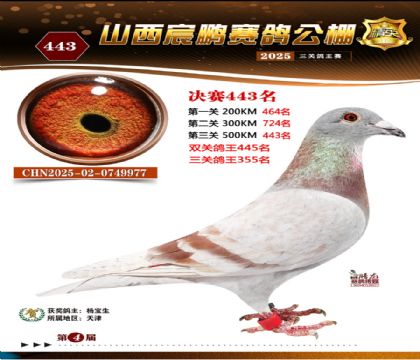 ɽ����i�Qِ443��