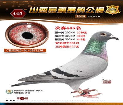 ɽ����i�Qِ445��