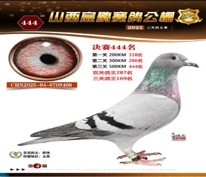 ɽ����i�Qِ444��