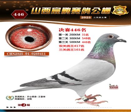 ɽ����i�Qِ446��