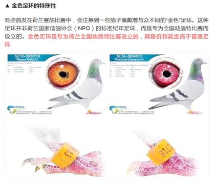 金色足環(huán)說(shuō)明