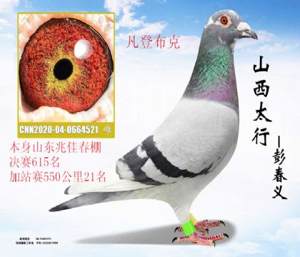 ɽ���׼Ѿ���615����վ��21�����ǲ���