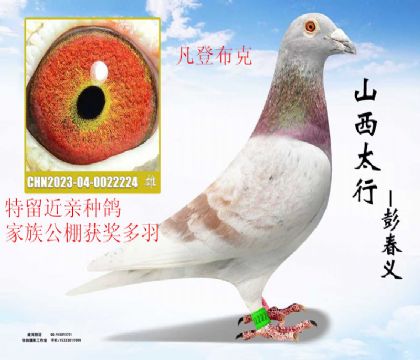 �����ָ뷲�ǲ��˽���