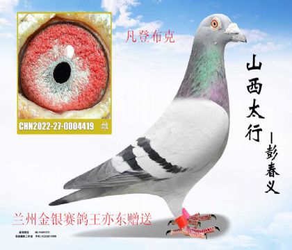 �����������ණ�������ǲ���