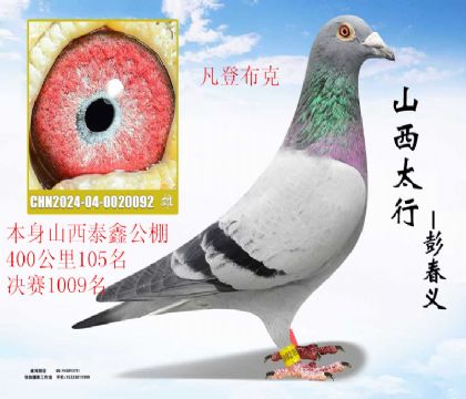 ɽ��̩��400����105������1009�����ǲ���