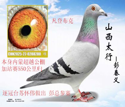 ���̨�ջ�ΰ���ɳ�Խ��վ���鷲�ǲ���