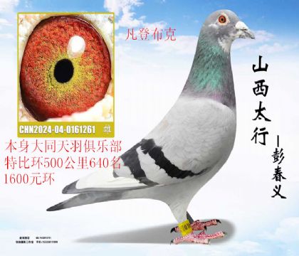 ��ͬ����1600Ԫ�رȳɼ��뷲�ǲ���