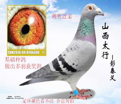 �����ָ����½���