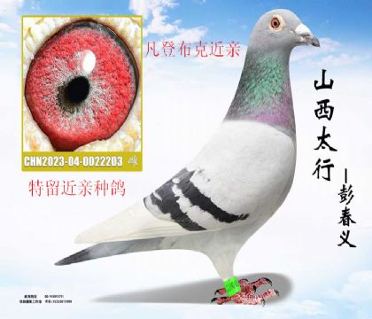 �����ָ뷲�ǲ��˽���