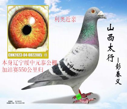 ����Ԫ̩��վ��550���������