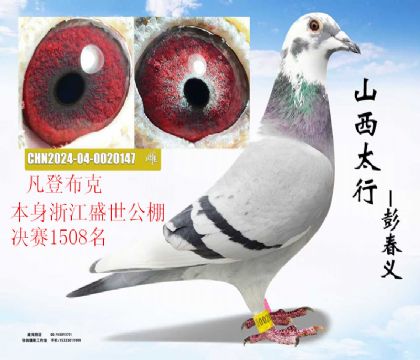 �㽭ʢ���������1508�����ǲ���