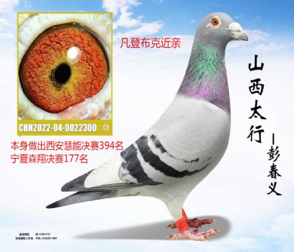 ����394�����׷��ǲ���