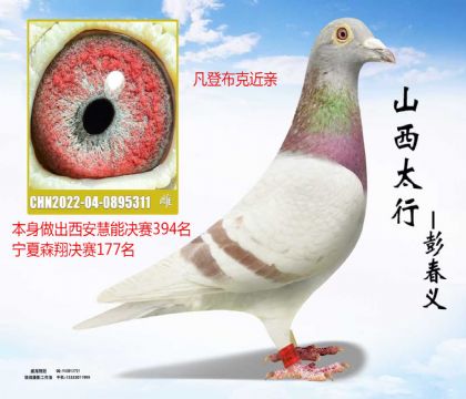 ����394��ĸ�׷��ǲ���