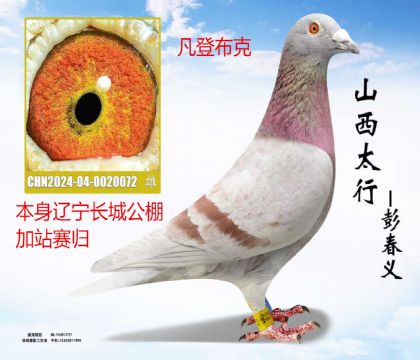 �������ǹ����վ���鷲�ǲ���