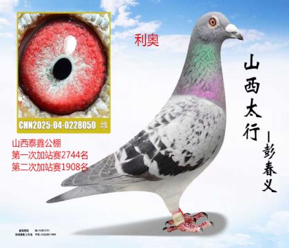 ɽ��̩�ι�����μ�վ��������