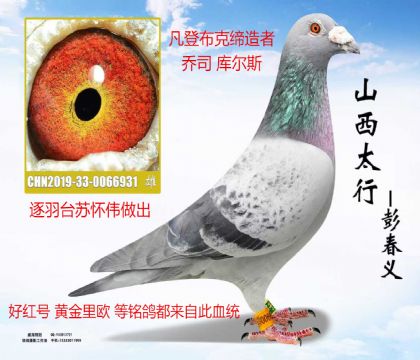 ���̨�ջ�ΰ������˹���˹