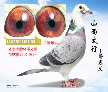 ��������550�����վ���鷲�ǲ���