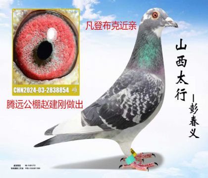 ��Զ���������������ǲ��˽���