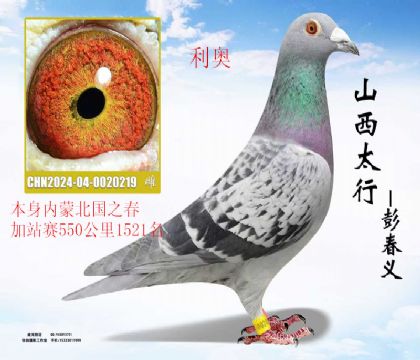 ���ɱ���֮����վ��550���������