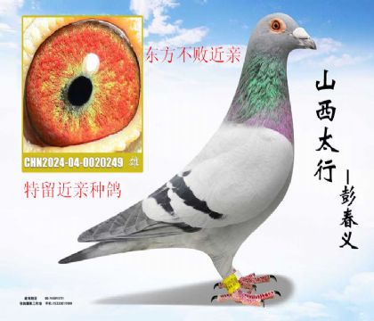 �������������ָ�