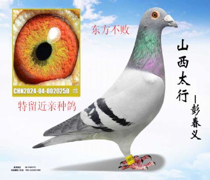 �������������ָ�