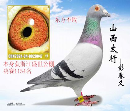 �㽭ʢ������1154����������