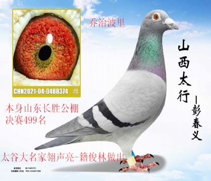 ̫������������-����������ɽ����ʤ����499��