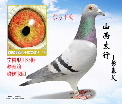 �������������˷Ѹ붫������