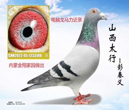 ���ɽ����԰�������Ը���������