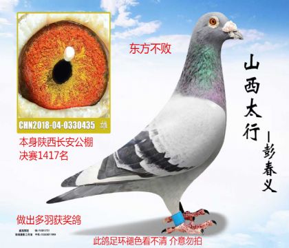 ���������������1417����������