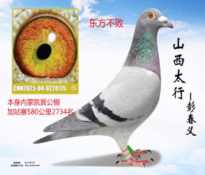 ���ɿ��������վ��580����鶫������